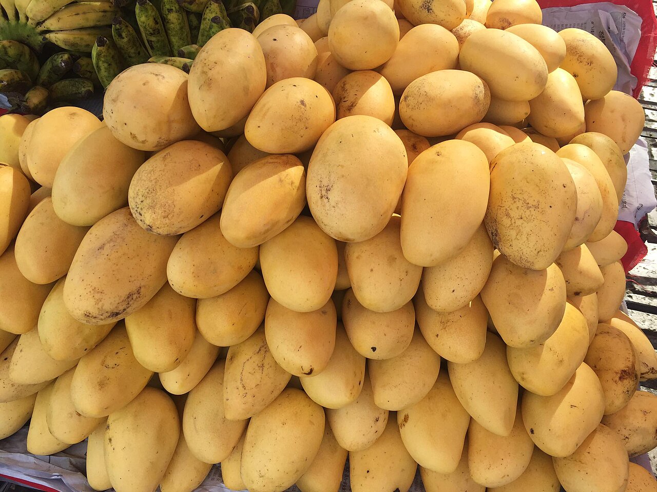 A pile of ripe carabao mangoes from Cebu